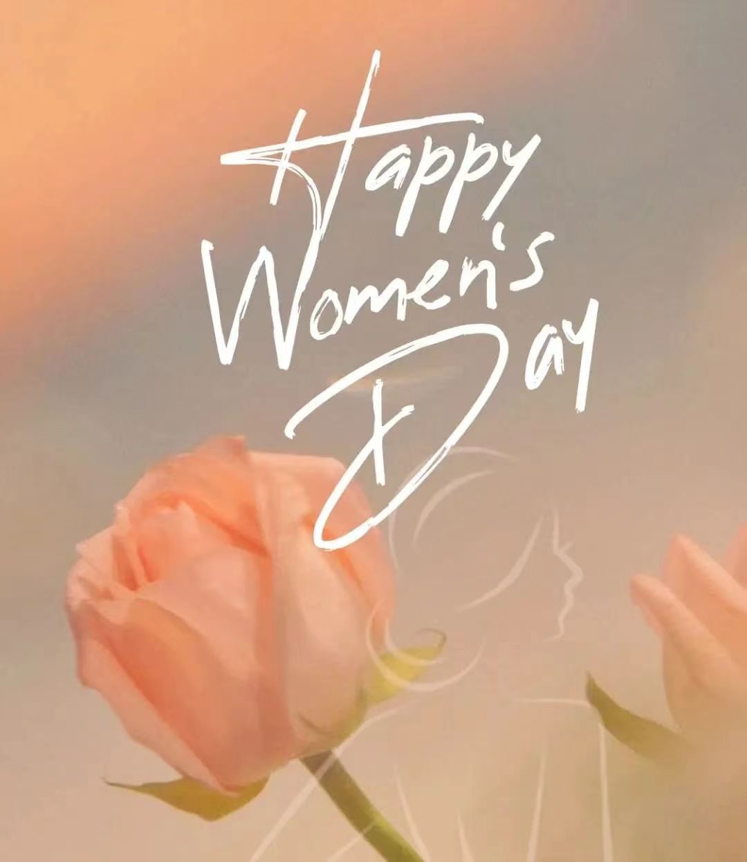 20241011120226299 20241011120226299